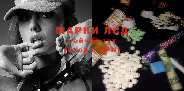 стафф Алексин